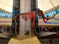 Abu Dhabi - 22