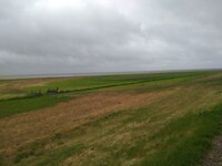 IMG_20200524_105718621
