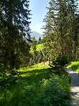 Holzgau