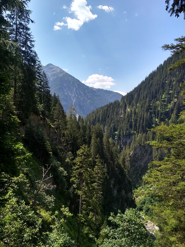 Holzgau