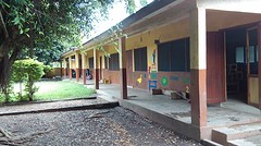Day Care