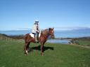 Horse trek Farewell Spit (boven Abel Tasman NP)