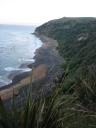 Pinguin strand