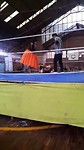 Cholitas peleando