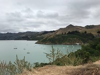Foto Lyttelton