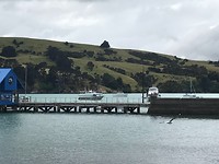 Haven Akaroa