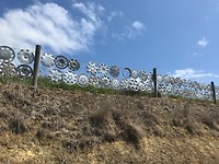 Onderweg op de Catlins route