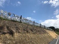 Onderweg op Catlins route