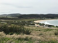 Camping bi Curio Bay