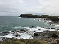Onderweg op Catlins route