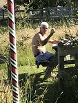 Aan de blog werken in de tuin