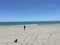 Fenny als enige op het strand