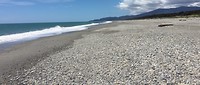 Strand ten Noorden van Haast Pass