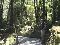 Onderweg op de wandeling bij Lake Matheson
