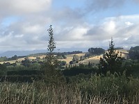 View de achterzijde van onze B&B