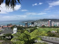 Uitzicht over Wellington