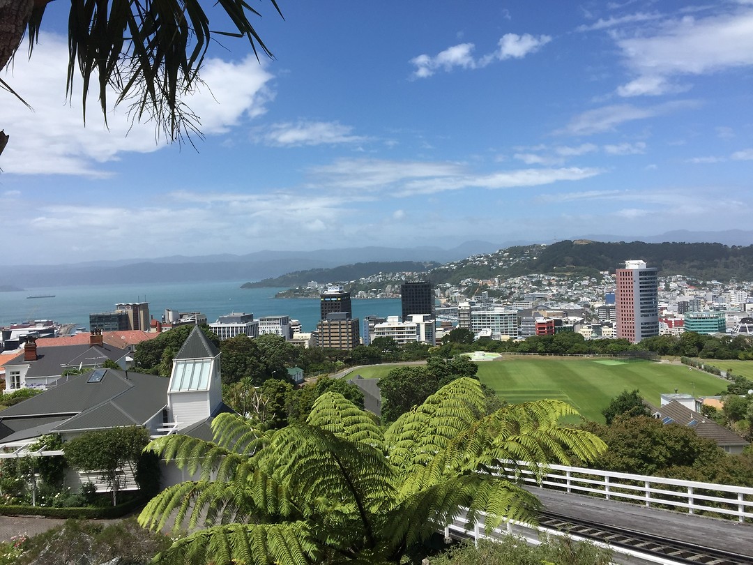 Uitzicht over Wellington