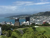 Uitzicht over Wellington
