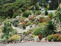 Botanic gardens
