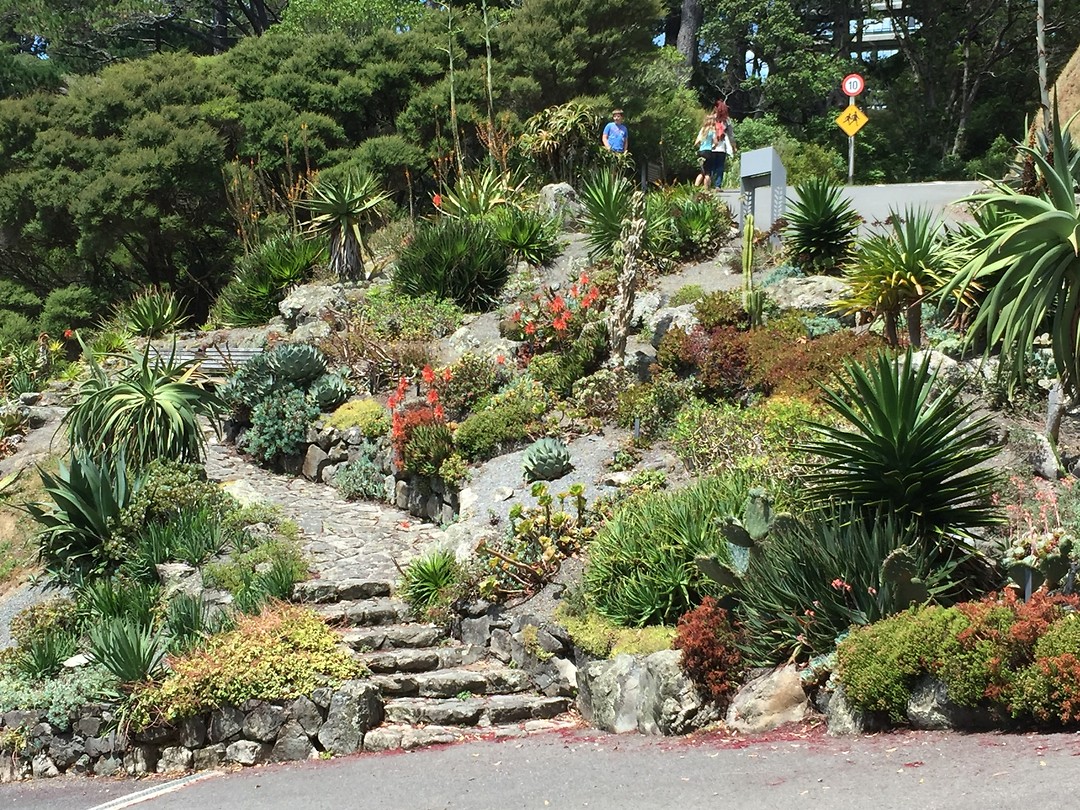Botanic gardens
