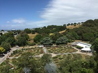 Rozentuin van de Botanic gardens