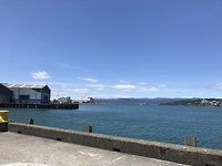 Wellington haven