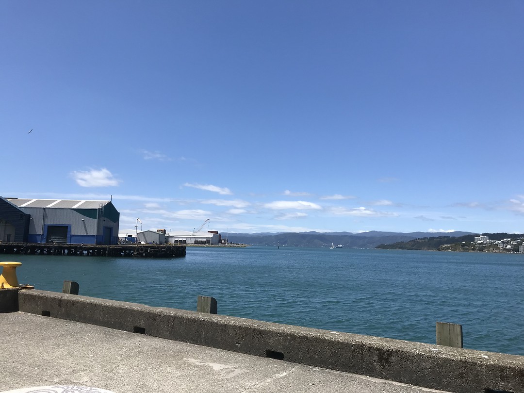 Wellington haven