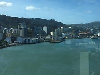 uitzicht op Wellington vanaf het dak vanhet Te Papa museum