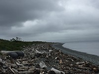 Donkere wolken naderen Kapiti Island
