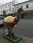 Kiwi gespot