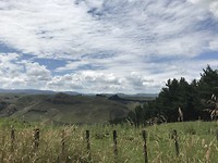Een van de vele landschappen op de weg via Moawhango
