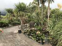 Tuin van Piketitiri Lodge