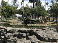 Fontein in park bij centrum in Napier