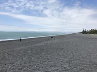 Het zwarte strand in Napier