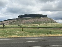 Onderweg naar Hamurana