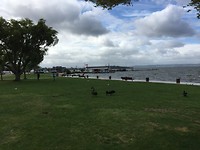 Lake Rotoroa