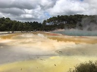 champagne pool