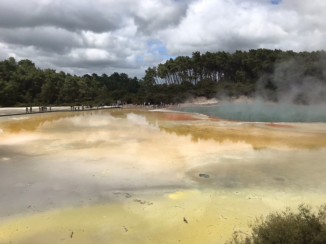 champagne pool