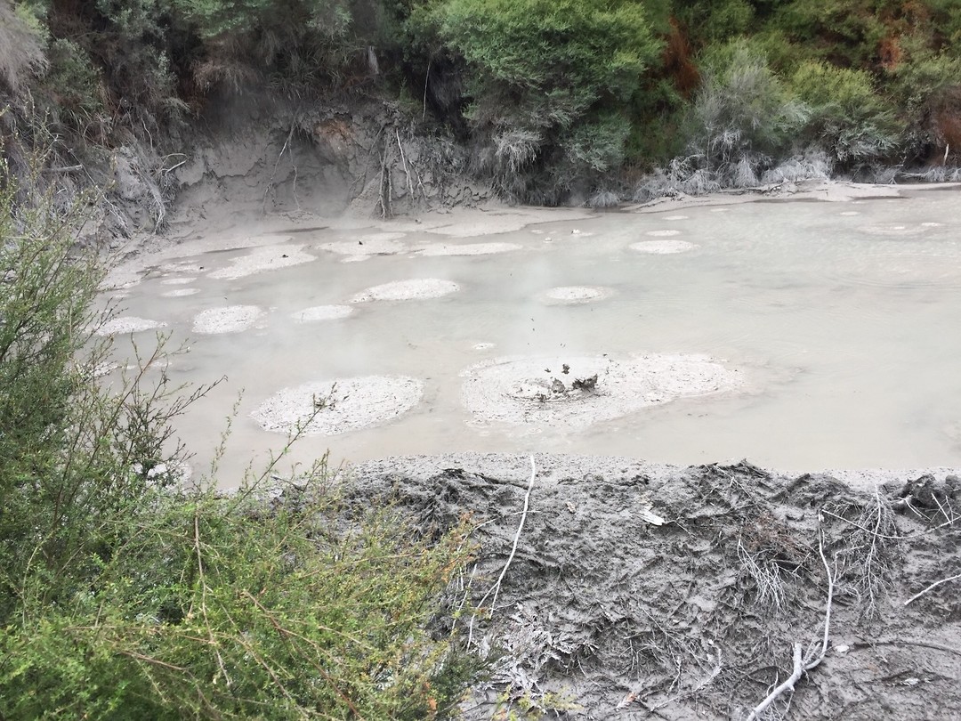 Mud Pool