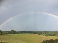De regenboog vanaf de Cottage in Matakana