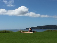 Fenny op de ligweide bij de baai