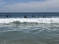 Veel golven coor de surfboarders