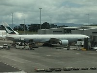 Bye Bye NZ