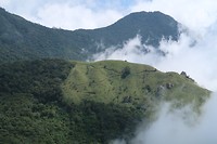 mist, mist...