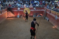 Kalari voorstelling, één van de oudste martial arts vormen