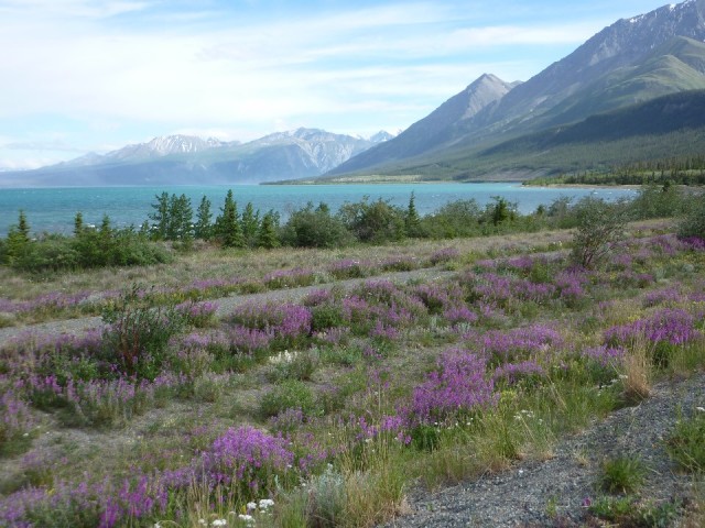 P1020334