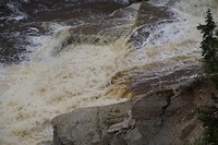 DSC02626