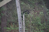 DSC02960