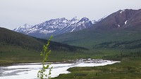 tombstone mountain