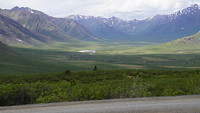 Honeyview_along dempster